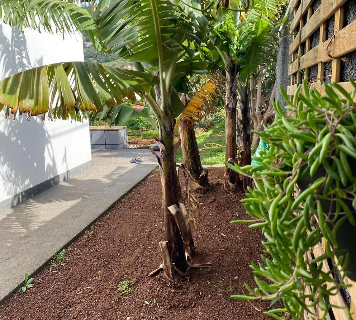 דירות מצ'יקו Urban Farm 0*,  פורטוגל